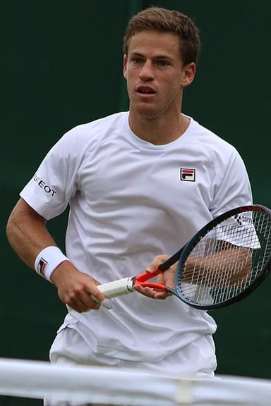 What color is typically dominant in Schwartzman's match attire?