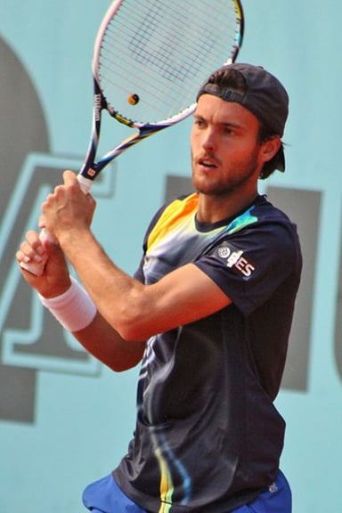 What year did João Sousa turn professional?