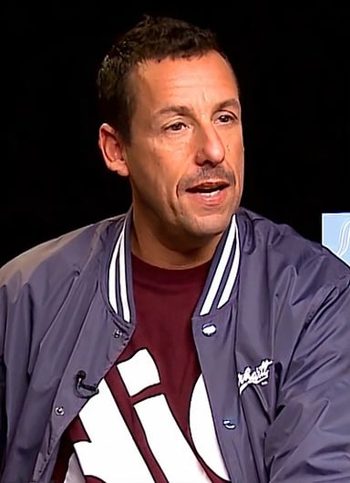 In which of the following institutions did Adam Sandler study?[br](Select 2 answers)