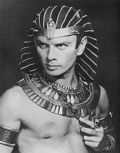 Besides acting, Brynner also worked as what?