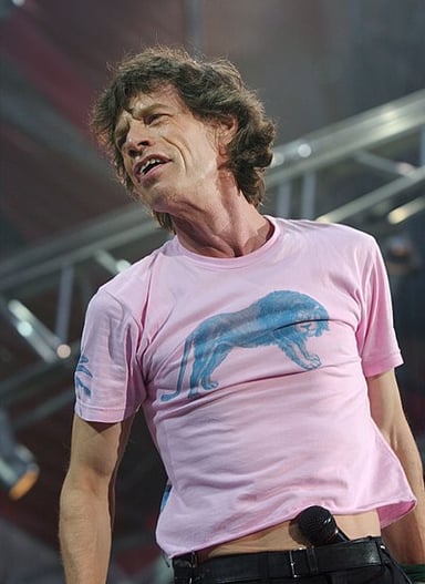 Which instruments does Mick Jagger play?[br](Select 2 answers)