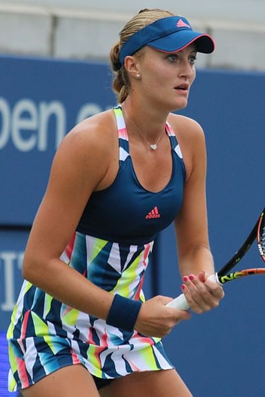 Kristina's singles career-high ranking is world No.?