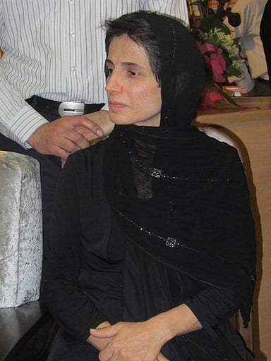 Is Nasrin Sotoudeh an activist besides being a lawyer?