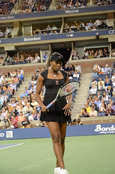I'm curious about Venus Williams's most well-known professions. Could you tell me what they are? [br](Select 2 answers)