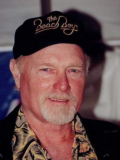 Which instrument is Mike Love primarily known for in the Beach Boys?