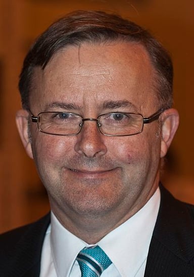 What position does Anthony Albanese currently hold in Australia?