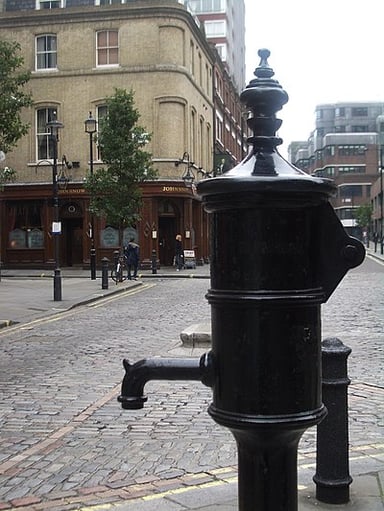 In which area of London did John Snow track down a cholera outbreak?