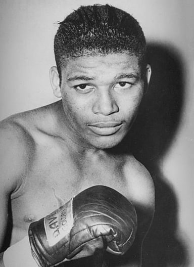 Robinson is often hailed as the greatest boxer of all time. What is the boxing term for this type of comparison?
