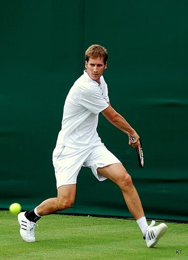 What is Florian Mayer's career-high singles ranking?
