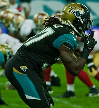 In which division do the Jacksonville Jaguars compete?