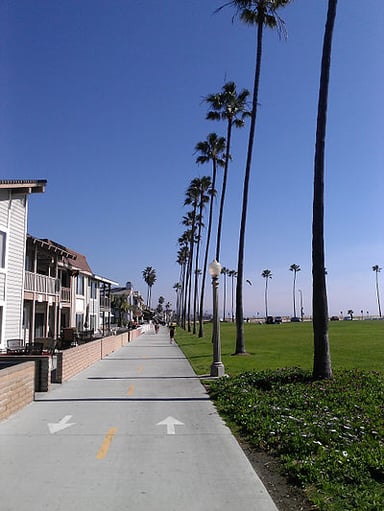 What is the elevation above sea level of Newport Beach?