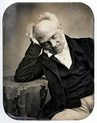 What was the manner of Arthur Schopenhauer's death?