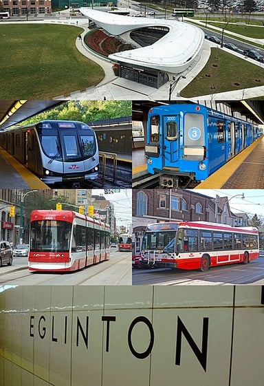 How many rapid transit lines does the TTC operate?