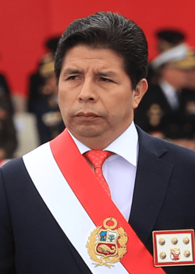 Who did Pedro Castillo defeat in the second round of the 2021 presidential election?