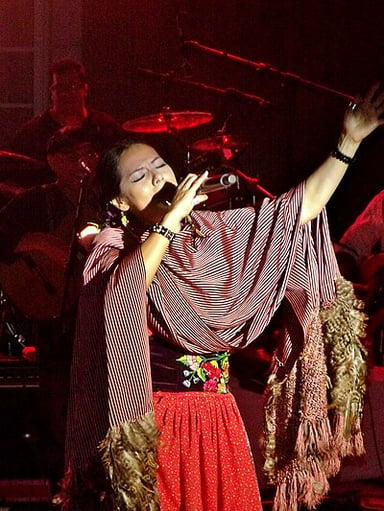 In which year did Lila Downs achieve international success?
