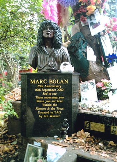 What type of music did Bolan start with?