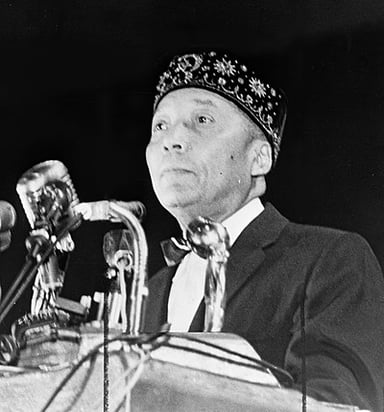 How is Elijah Muhammad mainly described due to his views on race?