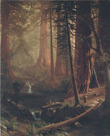 What was a primary subject of Bierstadt's paintings?