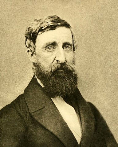 What are Henry David Thoreau's most famous occupations?