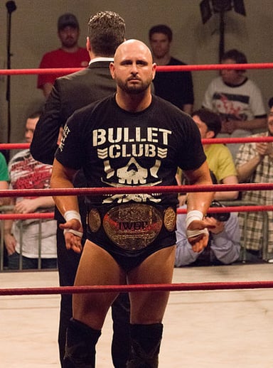 Which wrestling brand does Karl Anderson currently perform on?
