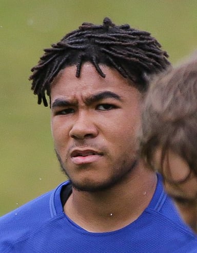 At what level did Reece James first represent England?