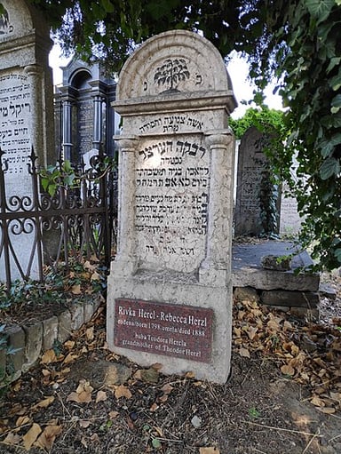 What conclusion did Herzl reach after confronting anti-Semitic events in Vienna?