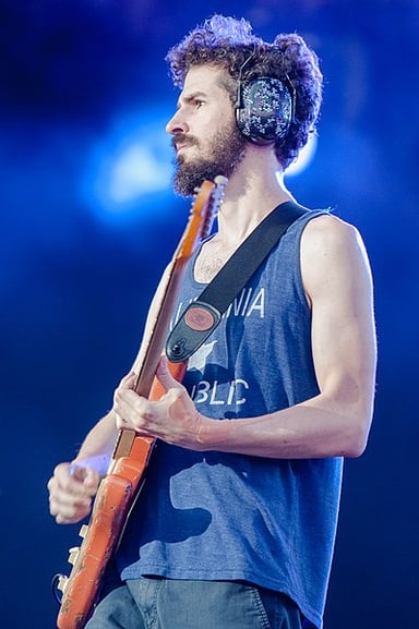 What band is Brad Delson best known for playing in?
