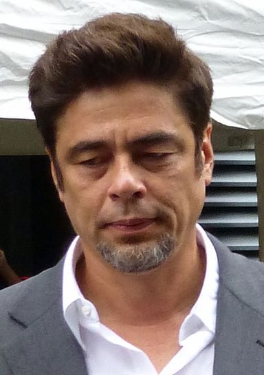 In which movie does Benicio del Toro play a gambling addict?