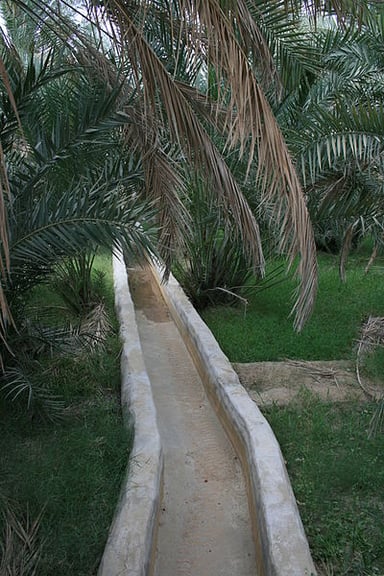 What is the name of the oasis that Al Ain is part of?