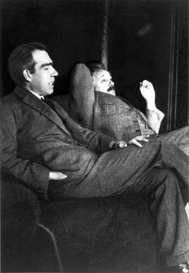 Who was the German physicist that Bohr had a famous meeting with during the German occupation of Denmark?