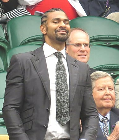 How many professional fights did David Haye win by knockout?