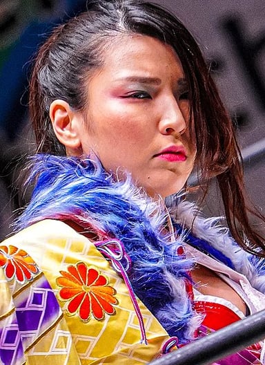 Which championship did Hikaru Shida win in the Ice Ribbon promotion?