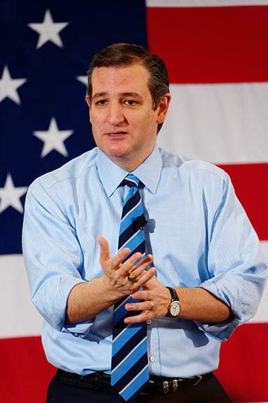 I'm curious about Ted Cruz's most well-known professions. Could you tell me what they are? [br](Select 2 answers)
