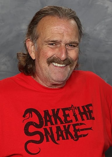 Who did Jake Roberts live with to get his life back on track?