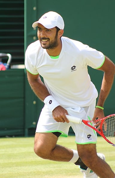 Who was Qureshi's men's doubles partner at the 2010 US Open?
