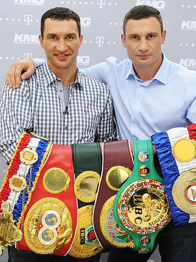 In which year did Vitali Klitschko retire from professional boxing?