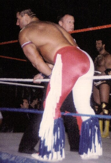 At which event did Davey Boy Smith beat Bret Hart for the WWF Intercontinental Championship in 1992?