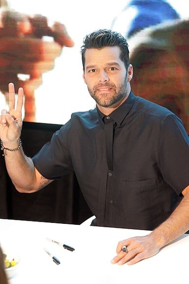 What instrument does Ricky Martin play?