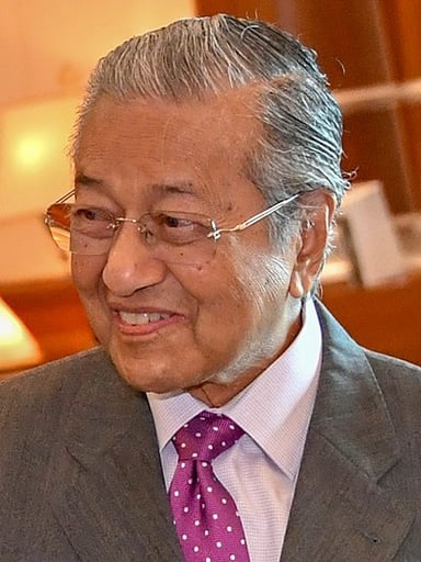 What are Mahathir Mohamad's most famous occupations?[br](Select 2 answers)