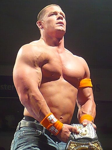 Where did John Cena attend school?[br](select 2 answers)