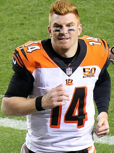 How many consecutive playoff appearances did Dalton lead the Bengals to?
