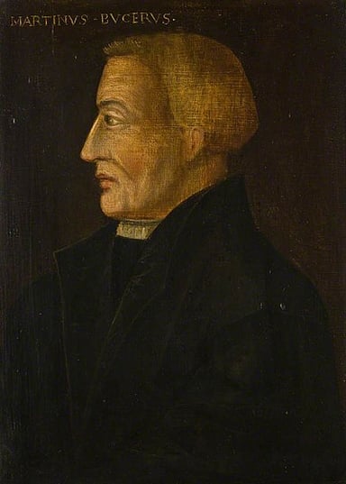 Who guided Bucer in England?