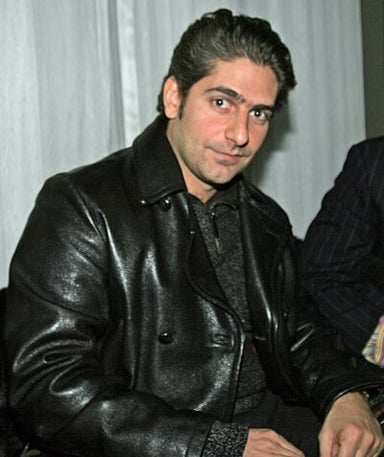 Which drama series did Michael Imperioli star in after The Sopranos?