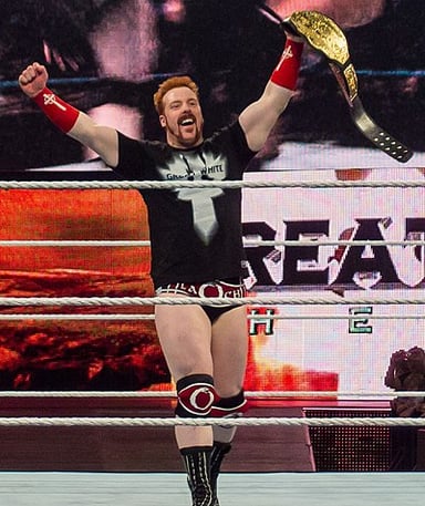 How many times has Sheamus won the WWE Championship?