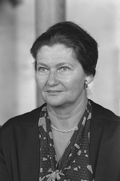 What profession did Simone Veil have before her political career?