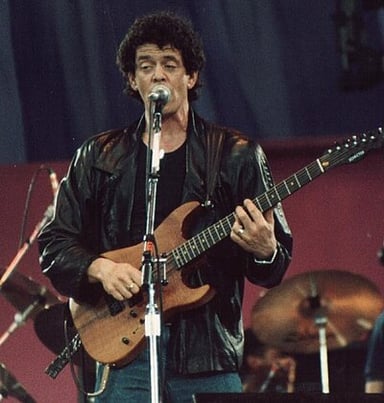 Which university did Lou Reed attend?