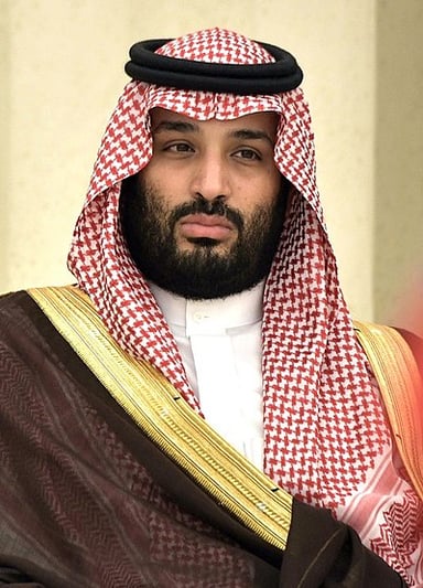What is Mohammed Bin Salman's most well-known occupation?