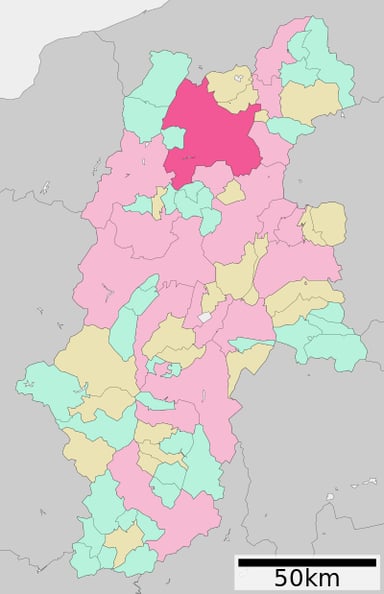 What is the total area of Nagano City?