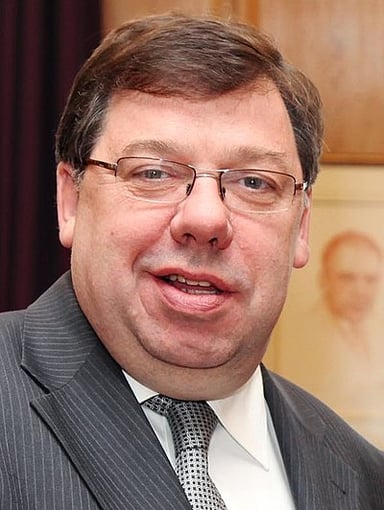 What was Cowen's position in Fianna Fáil from 2008 to 2011?