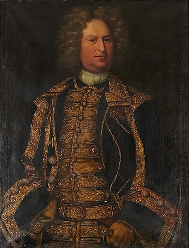Rehnskiöld primarily mentored King Charles XII in which field?